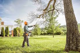 Best Tree Maintenance Programs  in New Paleste, IN